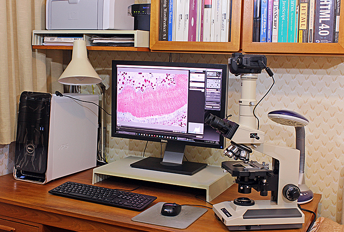 Alan Wood’s desk and microscope