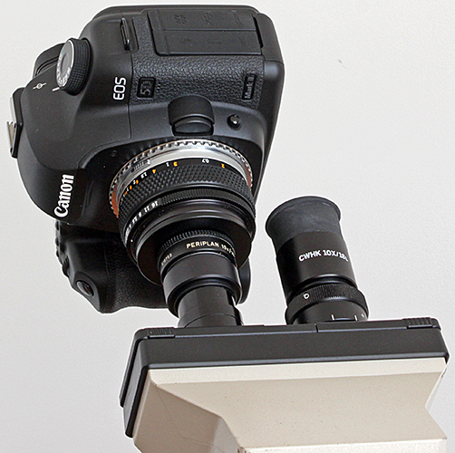 Afocal coupling of EOS digital SLR, Zuiko 50mm standard lens and Periplan 10× eyepiece