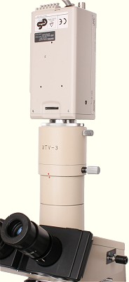 C-mount video camera on an Olympus BH-2 microscope