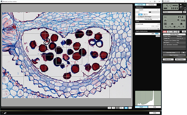 Screenshot of Canon EOS Utility software Canon EOS Utility software