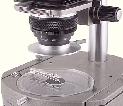 Lieberkühn Reflector PM-LM-38