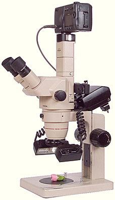 T28 Macro Twin Flash attached to a stereo microscope, with Nikon Coolpix 990 camera