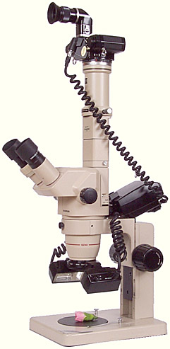 T28 Macro Twin Flash attached to a stereo microscope, with Olympus OM-2 camera