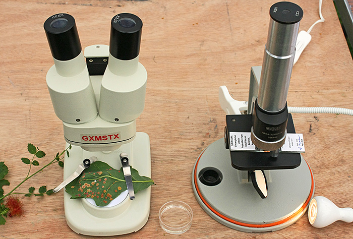 Simple microscopes
