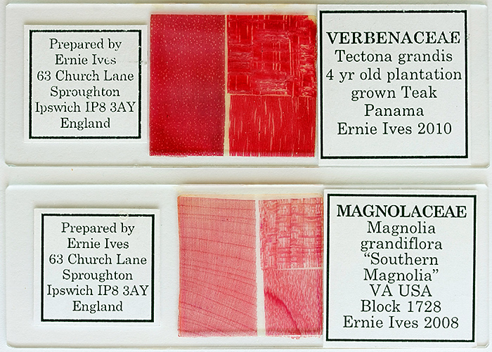 Two wood-section slides by Ernie Ives