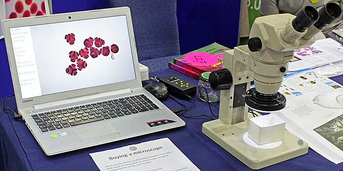 PowerPoint presentation and stereomicroscope