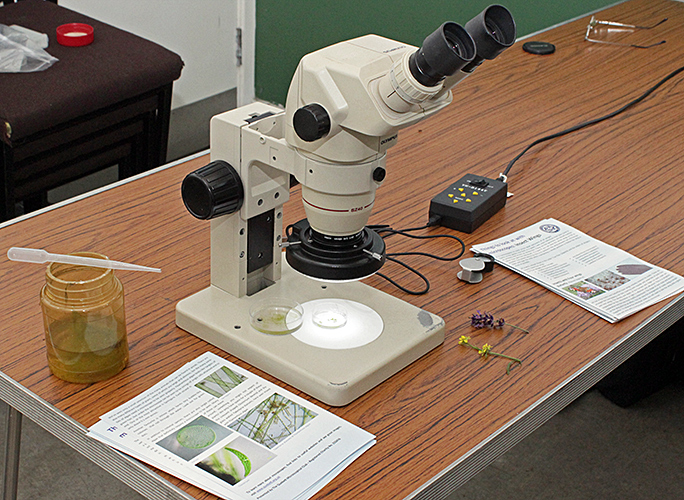 Olympus SZ4045 stereomicroscope