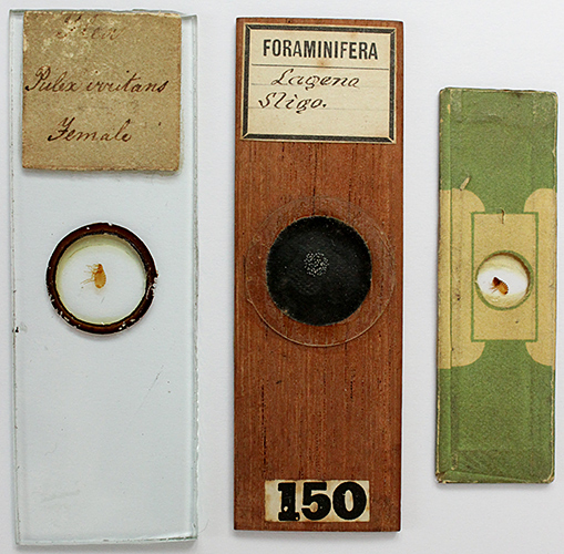 Victorian slides