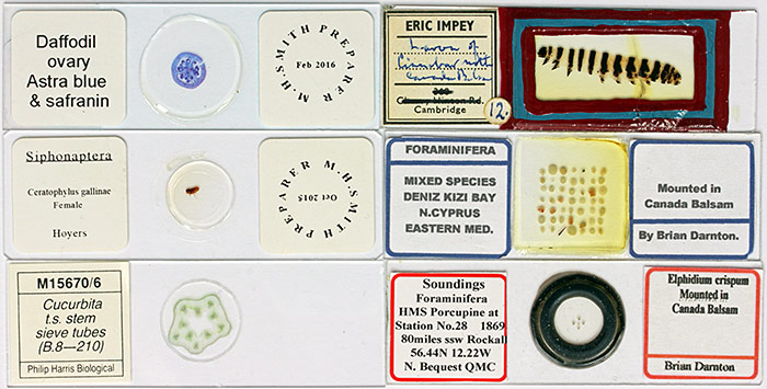 Microscope slides