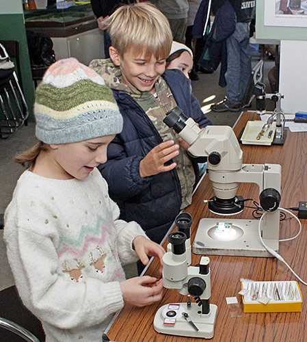 Stereo microscopes