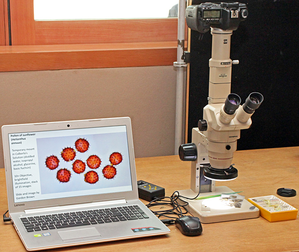 Slide show and trinocular stereo microscope