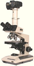 Olympus BH-2 microscope with a Canon EOS digital SLR